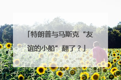 特朗普与马斯克“友谊的小船”翻了？